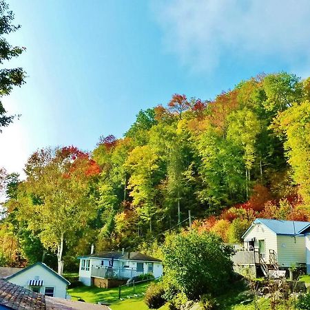 Silver Springs Cottage Resort Harcourt Εξωτερικό φωτογραφία