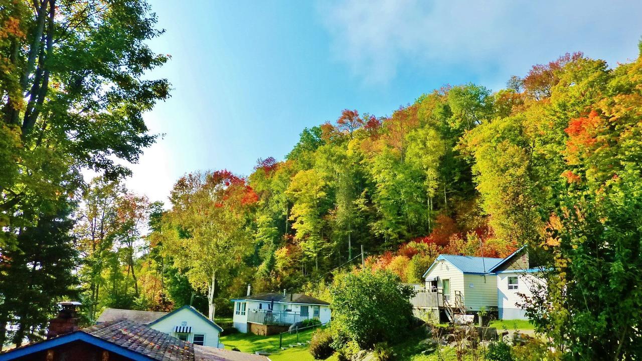 Silver Springs Cottage Resort Harcourt Εξωτερικό φωτογραφία